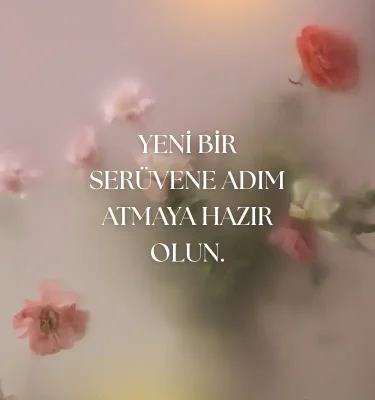 yeni bir serüven
